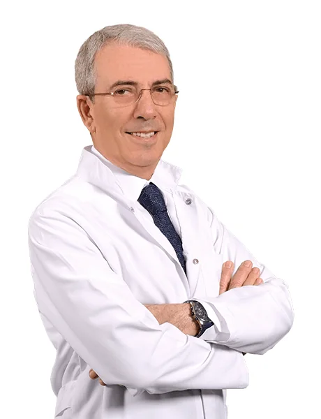 Prof. Dr. A. Bulent Oktay