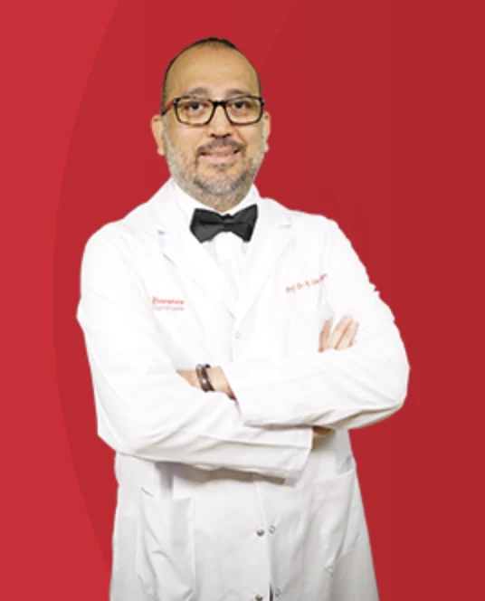 Prof. Dr. A. Cem Icyibozkurt