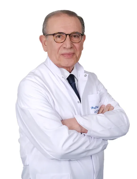 Prof. Dr. Abdullah Igci