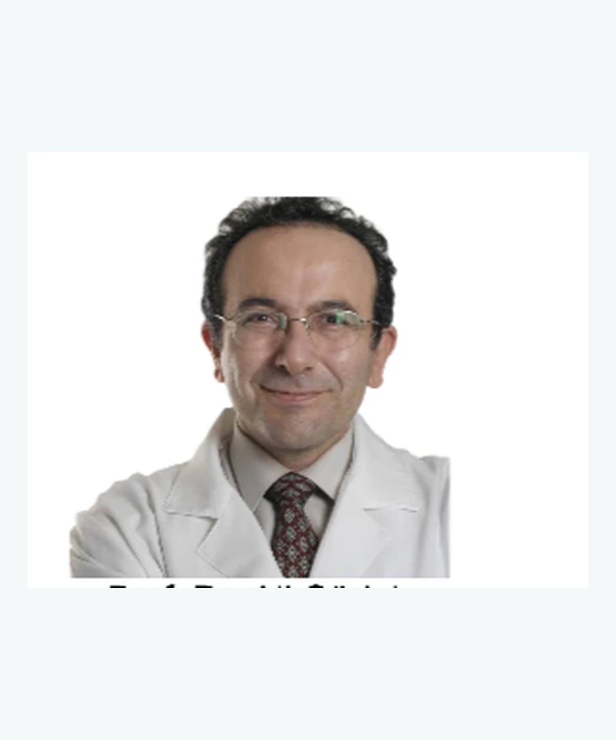 Prof. Dr. Ali Gurlek