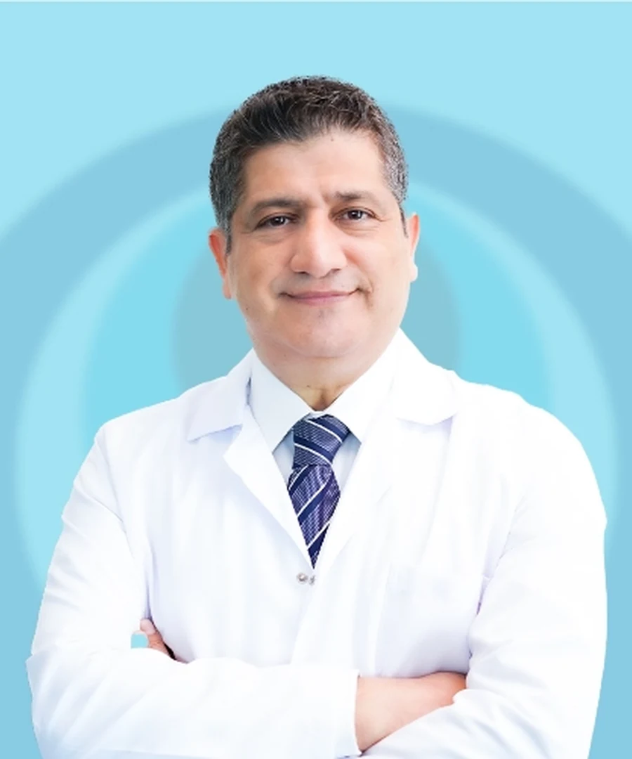 Prof. Dr. Okan Toygar